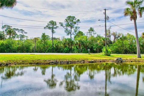 Land in Oldsmar, Florida № 1832072 - photo 13