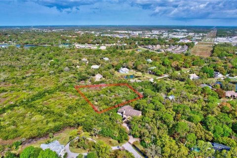 Land in Oldsmar, Florida № 1832072 - photo 6