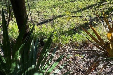 Terreno en venta en Palm Harbor, Florida № 1817000 - foto 12