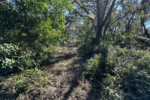 Terreno en venta en Palm Harbor, Florida № 1817000 - foto 1
