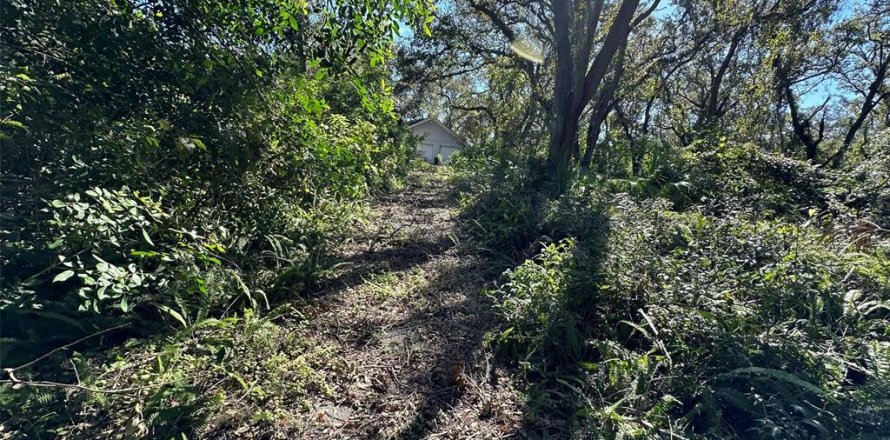 Land in Palm Harbor, Florida № 1817000