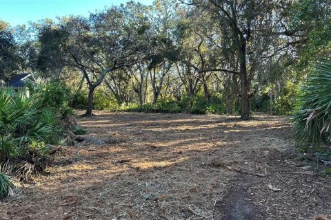Terreno en venta en Palm Harbor, Florida № 1817000 - foto 2