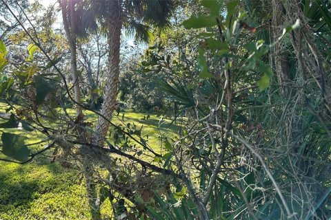 Terreno en venta en Palm Harbor, Florida № 1817000 - foto 10