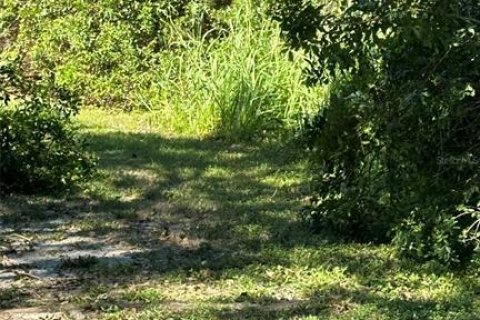 Terreno en venta en Palm Harbor, Florida № 1817000 - foto 19