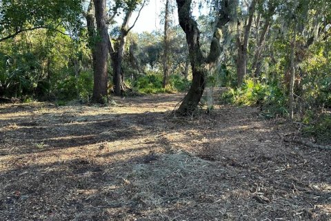 Terreno en venta en Palm Harbor, Florida № 1817000 - foto 24