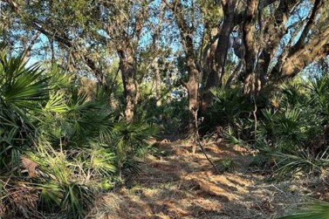 Terreno en venta en Palm Harbor, Florida № 1817000 - foto 7