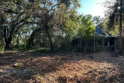 Terreno en venta en Palm Harbor, Florida № 1817000 - foto 4
