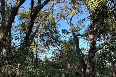 Terreno en venta en Palm Harbor, Florida № 1817000 - foto 22