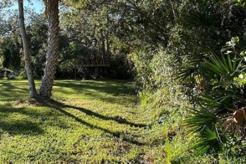 Terreno en venta en Palm Harbor, Florida № 1817000 - foto 8