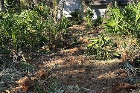 Terreno en venta en Palm Harbor, Florida № 1817000 - foto 15
