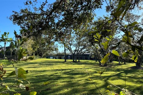 Terreno en venta en Palm Harbor, Florida № 1817000 - foto 11