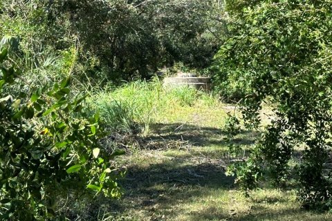 Terreno en venta en Palm Harbor, Florida № 1817000 - foto 20