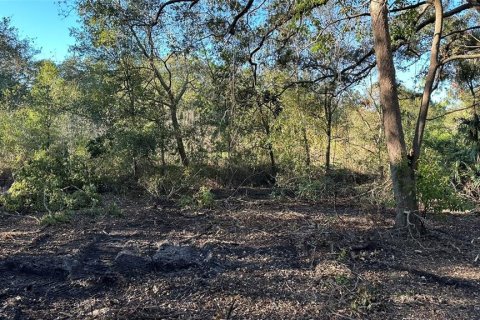 Terreno en venta en Palm Harbor, Florida № 1817000 - foto 25