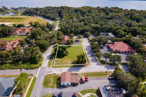 Terreno en venta en Leesburg, Florida № 2299211 - foto 8