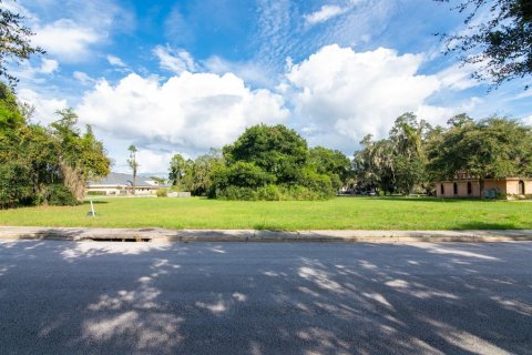 Terreno en venta en Leesburg, Florida № 2299211 - foto 18