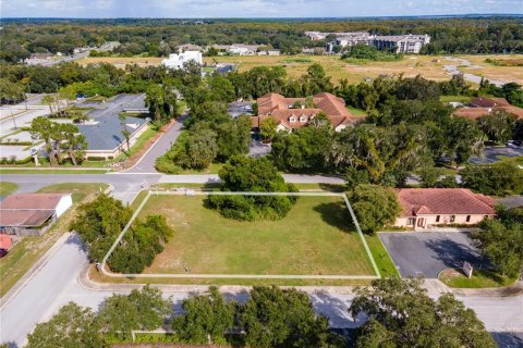 Terrain à Leesburg, Floride № 2299211