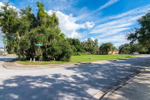 Terreno en venta en Leesburg, Florida № 2299211 - foto 20