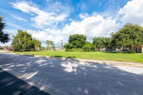 Terreno en venta en Leesburg, Florida № 2299211 - foto 19