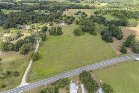 Land in Hawthorne, Florida № 1874034 - photo 2