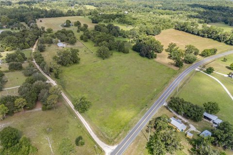 Land in Hawthorne, Florida № 1874034 - photo 4