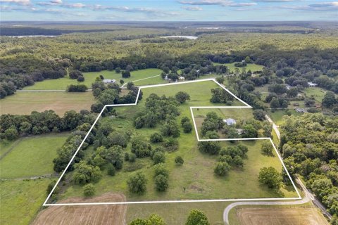 Land in Hawthorne, Florida № 1874034 - photo 9
