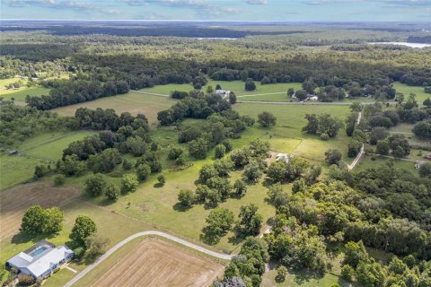 Land in Hawthorne, Florida № 1874034 - photo 12