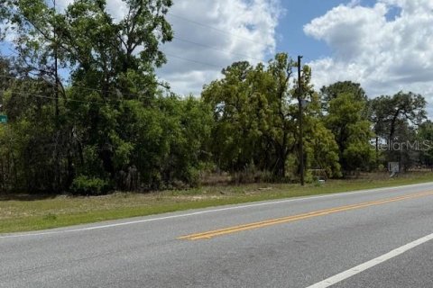 Terreno en venta en Floral City, Florida № 1615830 - foto 4