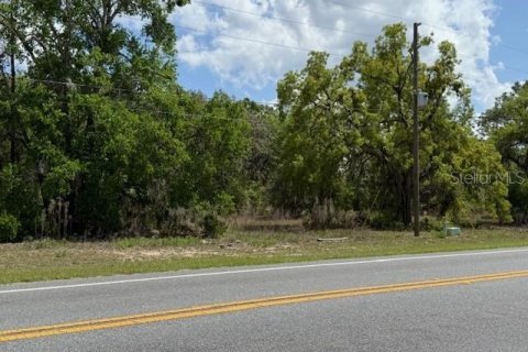 Terreno en venta en Floral City, Florida № 1615830 - foto 2