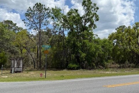 Terreno en venta en Floral City, Florida № 1615830 - foto 3