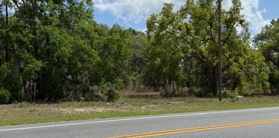 Terreno en Floral City, Florida № 1615830