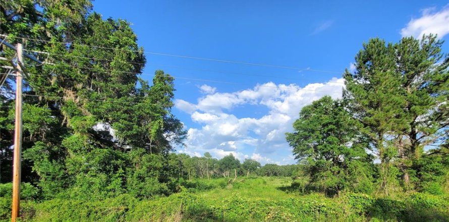 Land in Reddick, Florida № 1797761