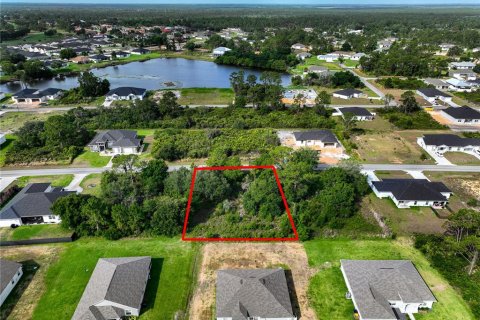 Terrain à Sebring, Floride № 2158974