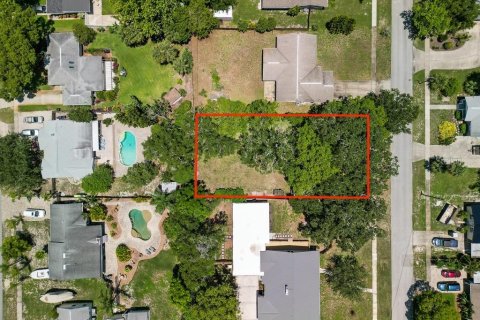 Land in New Smyrna Beach, Florida № 1769455 - photo 13