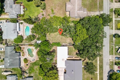 Land in New Smyrna Beach, Florida № 1769455 - photo 12