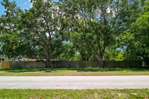 Land in New Smyrna Beach, Florida № 1769455 - photo 17