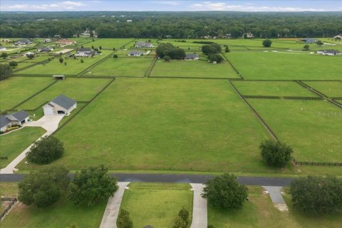 Terreno en venta en Ocala, Florida № 2096405 - foto 3