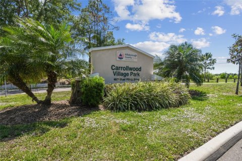 House in Tampa, Florida 5 bedrooms, 578.04 sq.m. № 2395927 - photo 10
