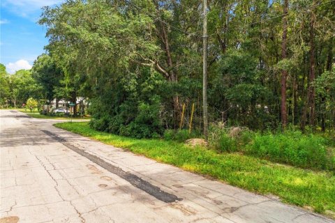 Land in Citrus Springs, Florida № 2376713 - photo 10