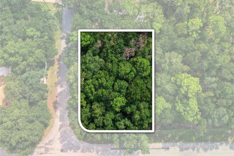 Land in Citrus Springs, Florida № 2376713