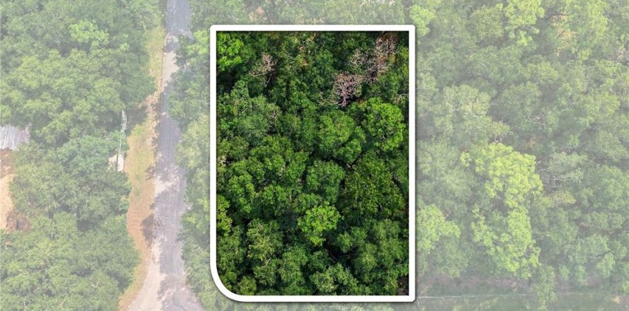 Land in Citrus Springs, Florida № 2376713