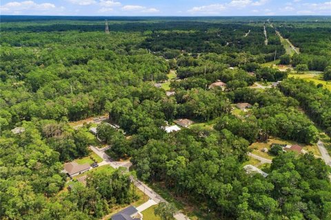 Land in Citrus Springs, Florida № 2376713 - photo 4