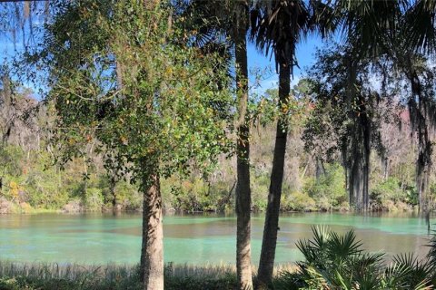 Villa ou maison à vendre à Dunnellon, Floride: 3 chambres, 179.21 m2 № 2287332 - photo 3