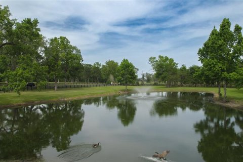 Land in Ocala, Florida № 1796745 - photo 3
