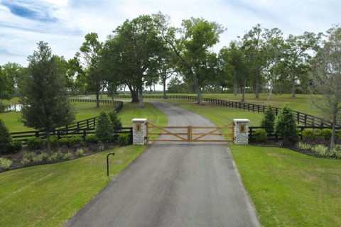 Land in Ocala, Florida № 1796745 - photo 2