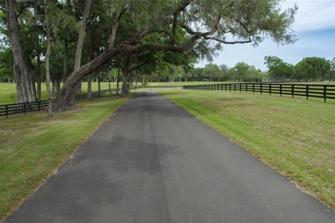 Land in Ocala, Florida № 1796745 - photo 16