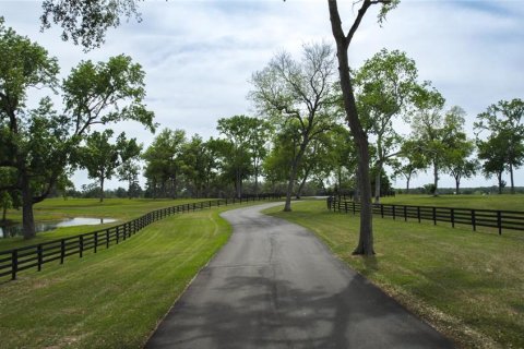 Land in Ocala, Florida № 1796745 - photo 4