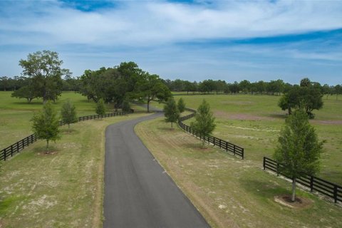Land in Ocala, Florida № 1796745 - photo 14