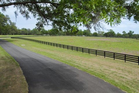 Land in Ocala, Florida № 1796745 - photo 15