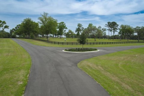 Land in Ocala, Florida № 1796745 - photo 17