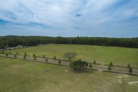Land in Ocala, Florida № 1796745 - photo 13